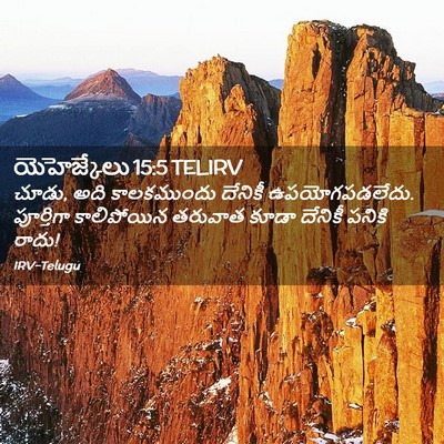 Picture 02 - యెహెజ్కేలు 15:5 TELIRV - చూడు, అది - Bible Verse Picture