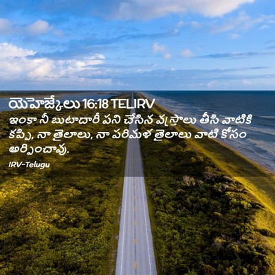 Picture 02 - యెహెజ్కేలు 16:18 TELIRV - ఇంకా నీ బుటాదారీ - Bible Verse Picture