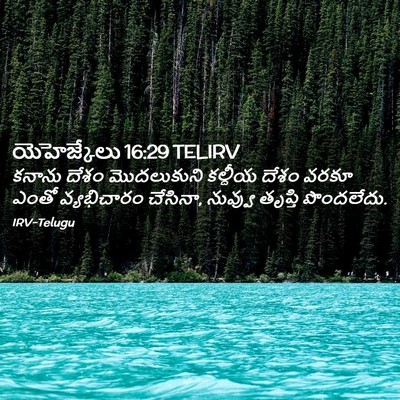 Picture 02 - యెహెజ్కేలు 16:29 TELIRV - కనాను దేశం - Bible Verse Picture