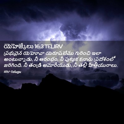 Picture 02 - యెహెజ్కేలు 16:3 TELIRV - ప్రభువైన యెహోవా - Bible Verse Picture