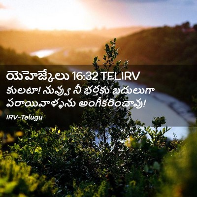 Picture 02 - యెహెజ్కేలు 16:32 TELIRV - కులటా! నువ్వు నీ - Bible Verse Picture