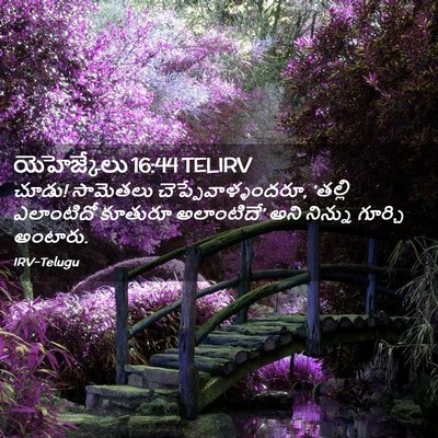 Picture 02 - యెహెజ్కేలు 16:44 TELIRV - చూడు! సామెతలు - Bible Verse Picture