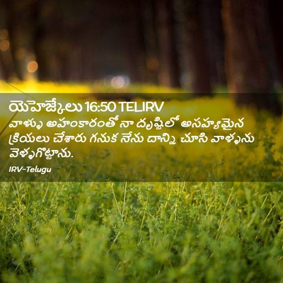 Picture 02 - యెహెజ్కేలు 16:50 TELIRV - వాళ్ళు అహంకారంతో - Bible Verse Picture