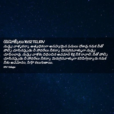 Picture 02 - యెహెజ్కేలు 16:52 TELIRV - నువ్వు వాళ్ళకన్నా - Bible Verse Picture