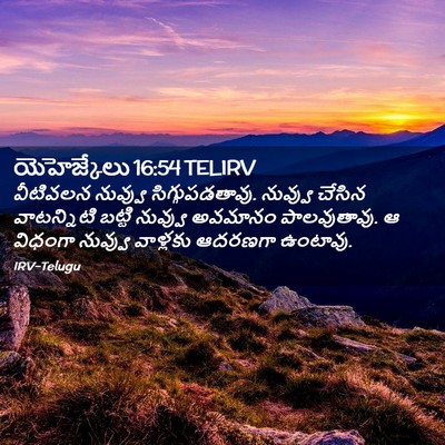 Picture 02 - యెహెజ్కేలు 16:54 TELIRV - వీటివలన నువ్వు - Bible Verse Picture