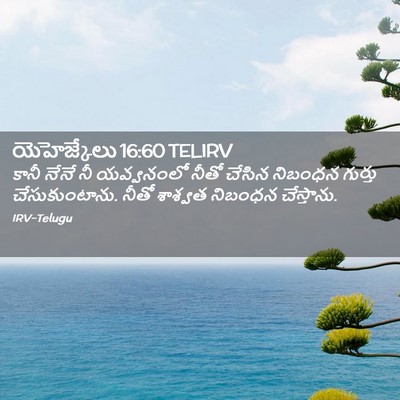 Picture 02 - యెహెజ్కేలు 16:60 TELIRV - కానీ నేనే నీ - Bible Verse Picture