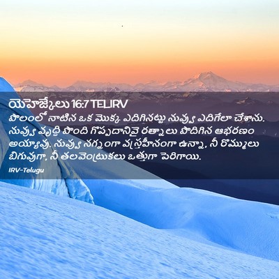 Picture 02 - యెహెజ్కేలు 16:7 TELIRV - పొలంలో నాటిన ఒక - Bible Verse Picture