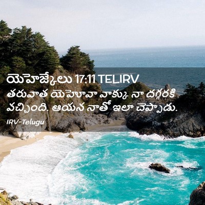 Picture 02 - యెహెజ్కేలు 17:11 TELIRV - తరువాత యెహోవా - Bible Verse Picture