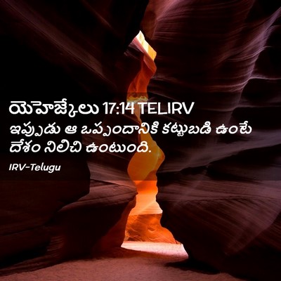 Picture 02 - యెహెజ్కేలు 17:14 TELIRV - ఇప్పుడు ఆ - Bible Verse Picture