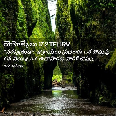 Picture 02 - యెహెజ్కేలు 17:2 TELIRV - “నరపుత్రుడా, - Bible Verse Picture