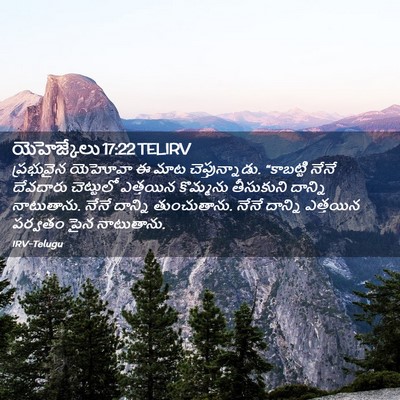 Picture 02 - యెహెజ్కేలు 17:22 TELIRV - ప్రభువైన యెహోవా ఈ - Bible Verse Picture