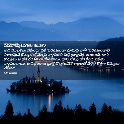 Picture 02 - యెహెజ్కేలు 17:6 TELIRV - అది మొలకలు - Bible Verse Picture