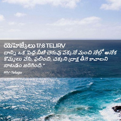 Picture 02 - యెహెజ్కేలు 17:8 TELIRV - దాన్ని ఒక పెద్ద - Bible Verse Picture