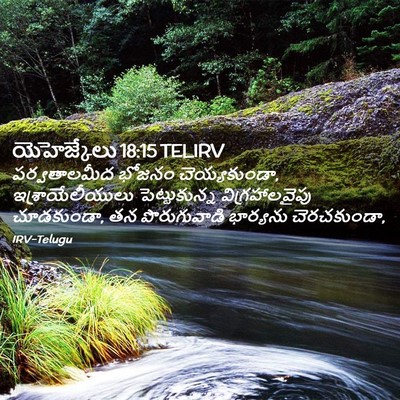Picture 02 - యెహెజ్కేలు 18:15 TELIRV - పర్వతాలమీద భోజనం - Bible Verse Picture