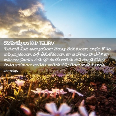 Picture 02 - యెహెజ్కేలు 18:17 TELIRV - పేదవాడి మీద - Bible Verse Picture