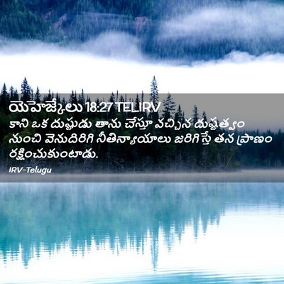 Picture 02 - యెహెజ్కేలు 18:27 TELIRV - కాని ఒక దుష్టుడు - Bible Verse Picture