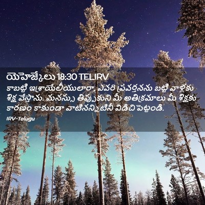 Picture 02 - యెహెజ్కేలు 18:30 TELIRV - కాబట్టి - Bible Verse Picture