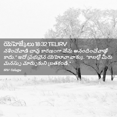 Picture 02 - యెహెజ్కేలు 18:32 TELIRV - నశించేవాడి చావు - Bible Verse Picture