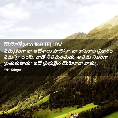 Picture 02 - యెహెజ్కేలు 18:9 TELIRV - నమ్మకంగా నా - Bible Verse Picture