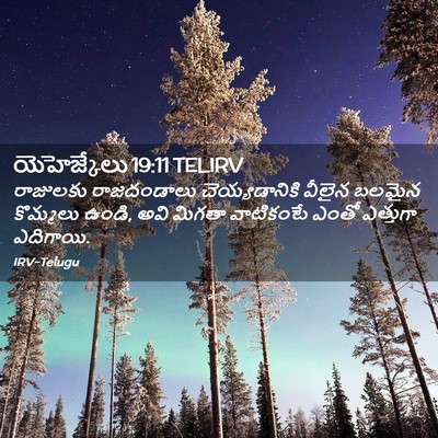 Picture 02 - యెహెజ్కేలు 19:11 TELIRV - రాజులకు రాజదండాలు - Bible Verse Picture