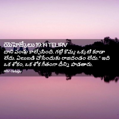 Picture 02 - యెహెజ్కేలు 19:14 TELIRV - దాని పండ్లు - Bible Verse Picture