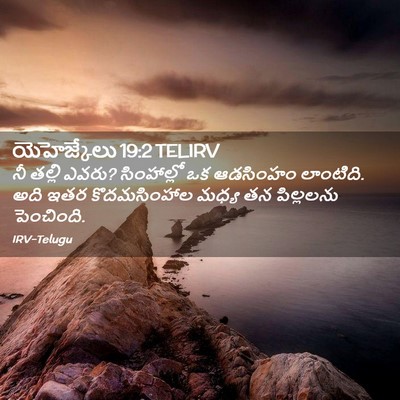 Picture 02 - యెహెజ్కేలు 19:2 TELIRV - నీ తల్లి ఎవరు? - Bible Verse Picture