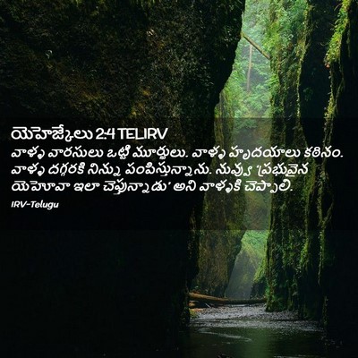 Picture 02 - యెహెజ్కేలు 2:4 TELIRV - వాళ్ళ వారసులు - Bible Verse Picture
