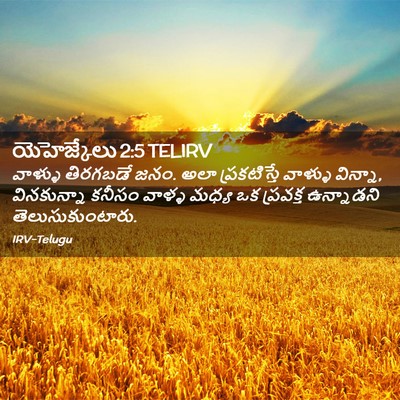 Picture 02 - యెహెజ్కేలు 2:5 TELIRV - వాళ్ళు తిరగబడే - Bible Verse Picture