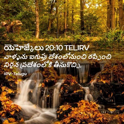 Picture 02 - యెహెజ్కేలు 20:10 TELIRV - వాళ్ళను ఐగుప్తు - Bible Verse Picture