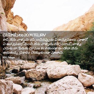 Picture 02 - యెహెజ్కేలు 20:14 TELIRV - కాని నేను వాళ్ళను - Bible Verse Picture