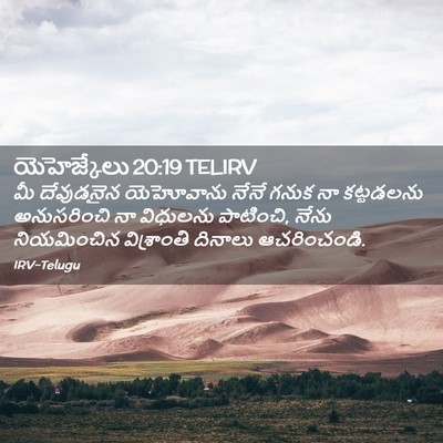 Picture 02 - యెహెజ్కేలు 20:19 TELIRV - మీ దేవుడనైన - Bible Verse Picture
