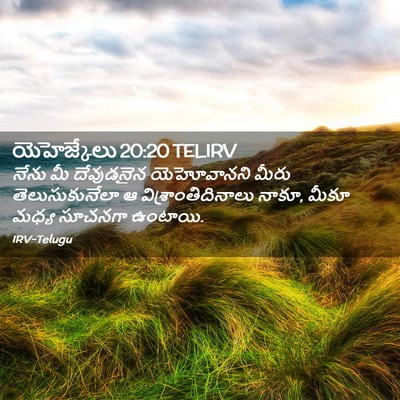 Picture 02 - యెహెజ్కేలు 20:20 TELIRV - నేను మీ దేవుడనైన - Bible Verse Picture