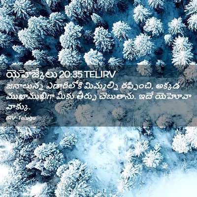 Picture 02 - యెహెజ్కేలు 20:35 TELIRV - జనాలున్న - Bible Verse Picture