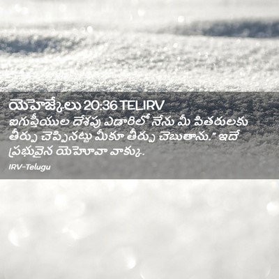 Picture 02 - యెహెజ్కేలు 20:36 TELIRV - ఐగుప్తీయుల దేశపు - Bible Verse Picture