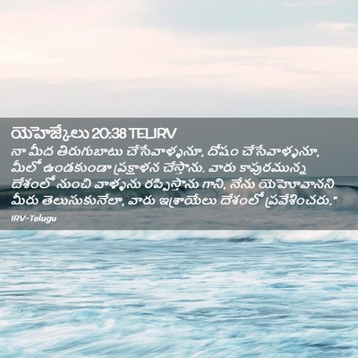 Picture 02 - యెహెజ్కేలు 20:38 TELIRV - నా మీద తిరుగుబాటు - Bible Verse Picture