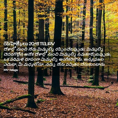 Picture 02 - యెహెజ్కేలు 20:41 TELIRV - దేశాల్లో నుంచి - Bible Verse Picture