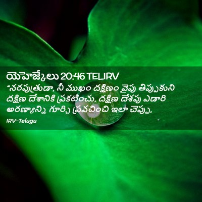Picture 02 - యెహెజ్కేలు 20:46 TELIRV - “నరపుత్రుడా, నీ - Bible Verse Picture