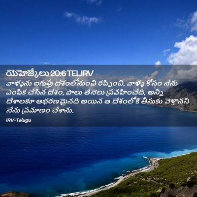 Picture 02 - యెహెజ్కేలు 20:6 TELIRV - వాళ్ళను ఐగుప్తు - Bible Verse Picture
