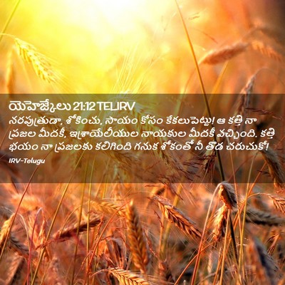 Picture 02 - యెహెజ్కేలు 21:12 TELIRV - నరపుత్రుడా, - Bible Verse Picture
