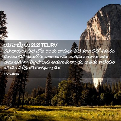 Picture 02 - యెహెజ్కేలు 21:21 TELIRV - రహదారులు చీలే చోట - Bible Verse Picture