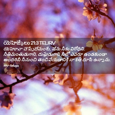 Picture 02 - యెహెజ్కేలు 21:3 TELIRV - యెహోవా - Bible Verse Picture