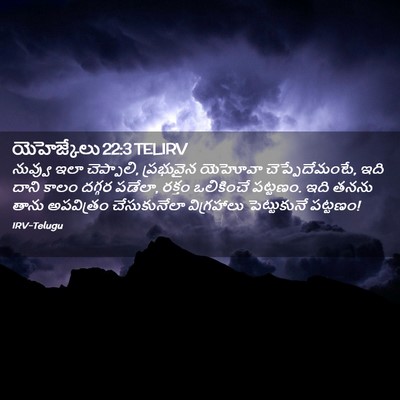 Picture 02 - యెహెజ్కేలు 22:3 TELIRV - నువ్వు ఇలా - Bible Verse Picture