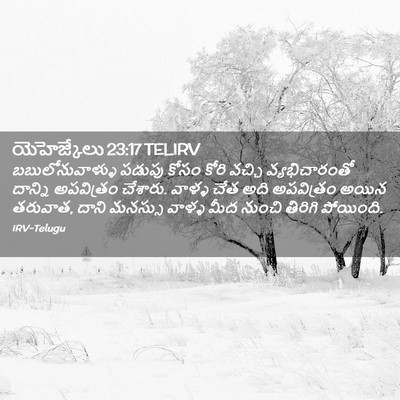 Picture 02 - యెహెజ్కేలు 23:17 TELIRV - బబులోనువాళ్ళు - Bible Verse Picture