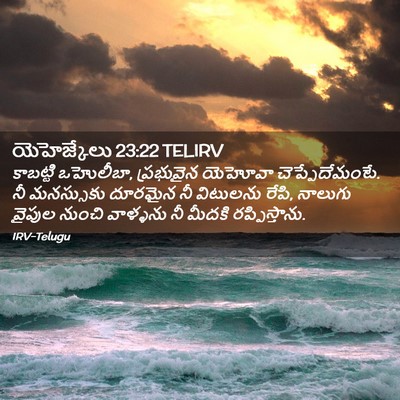 Picture 02 - యెహెజ్కేలు 23:22 TELIRV - కాబట్టి ఒహొలీబా, - Bible Verse Picture