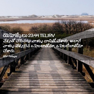 Picture 02 - యెహెజ్కేలు 23:44 TELIRV - వేశ్యతో చేసినట్టు - Bible Verse Picture