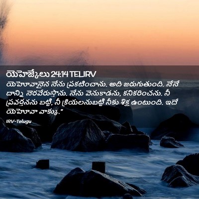 Picture 02 - యెహెజ్కేలు 24:14 TELIRV - యెహోవానైన నేను - Bible Verse Picture