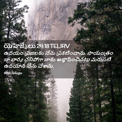 Picture 02 - యెహెజ్కేలు 24:18 TELIRV - ఉదయం ప్రజలకు నేను - Bible Verse Picture