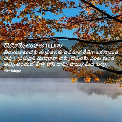 Picture 02 - యెహెజ్కేలు 24:3 TELIRV - తిరుగుబాటుచేసే ఈ - Bible Verse Picture