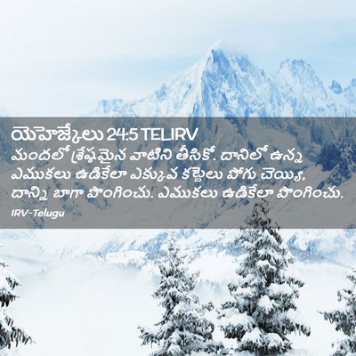 Picture 02 - యెహెజ్కేలు 24:5 TELIRV - మందలో శ్రేష్ఠమైన - Bible Verse Picture