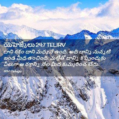 Picture 02 - యెహెజ్కేలు 24:7 TELIRV - దాని రక్తం దాని - Bible Verse Picture